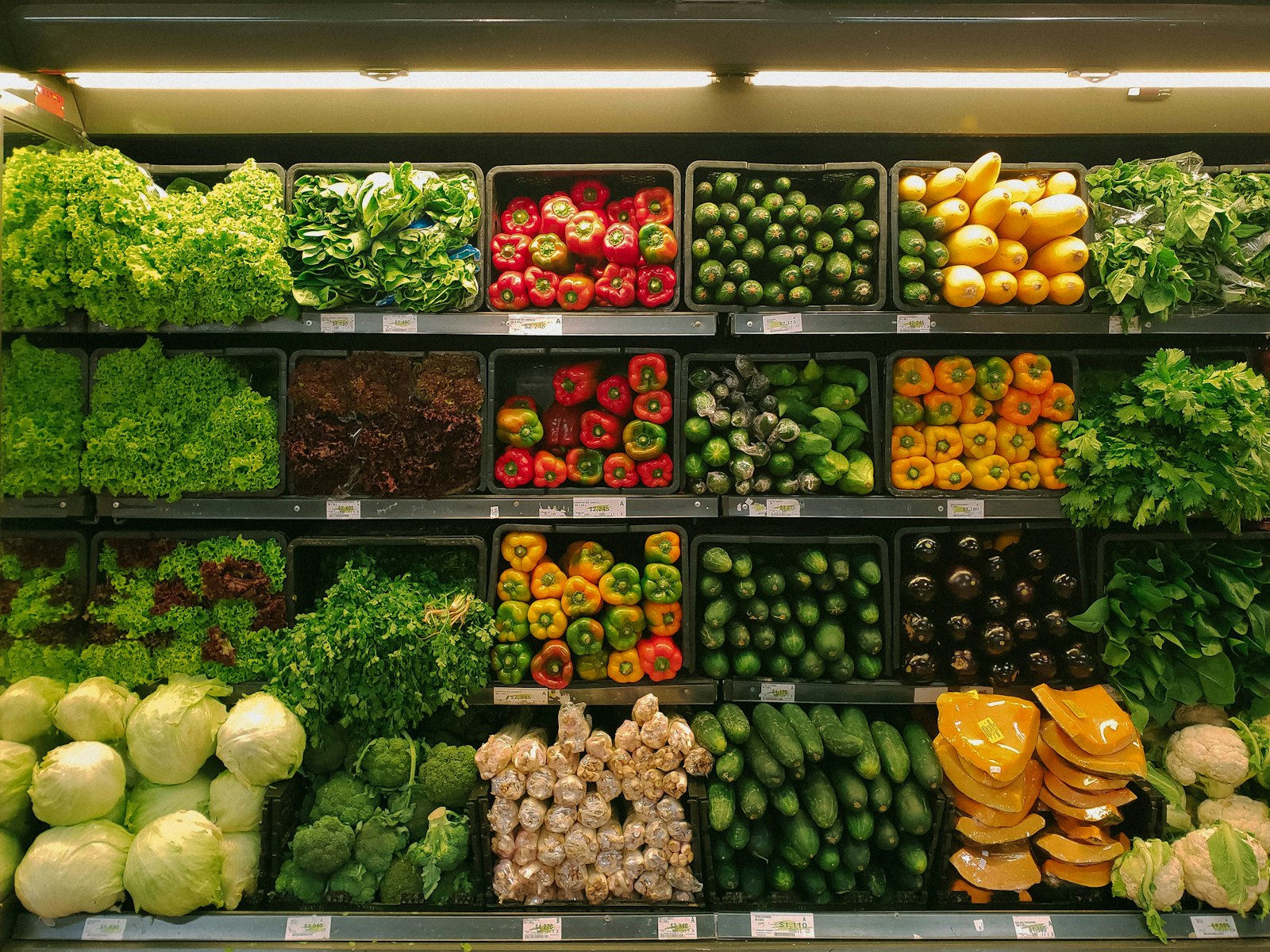 Distribution et vente au détail